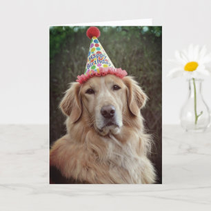 Golden Retriever & Party Hat with Happy Birthday Card