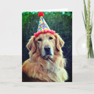 Golden Retriever & Party Hat with Happy Birthday Card