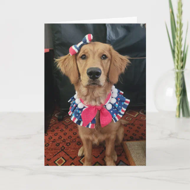 Golden Retriever patriotic, 4th of July greetings Letterpress Thank You  Card | Zazzle