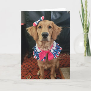 Golden Retriever patriotic, 4th of July greetings Letterpress Thank You Card