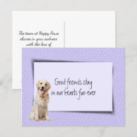 Golden Retriever Pet Loss From Veterinarian