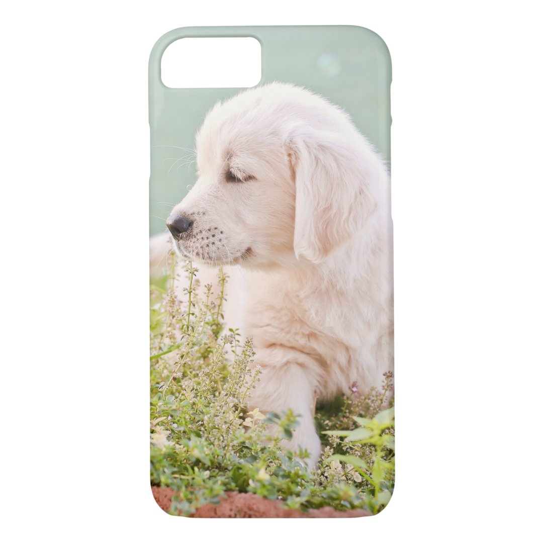 Golden retriever Phone Case | Zazzle