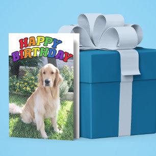 Golden Retriever Photo Beautiful Rainbow Birthday Card