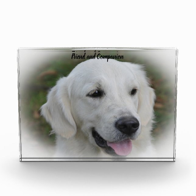 Golden Retriever. Photo Block (Front)