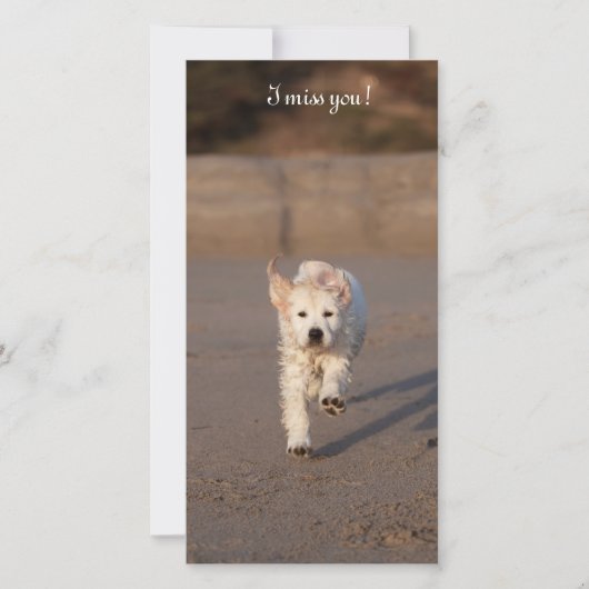 Golden Retriever Photo Card (Front)