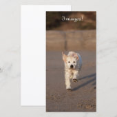 Golden Retriever Photo Card (Front/Back)