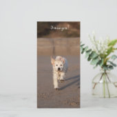 Golden Retriever Photo Card (Standing Front)