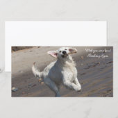 Golden Retriever Photo Card (Front/Back)