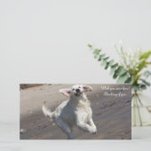 Golden Retriever Photo Card (Standing Front)