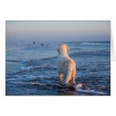 Golden Retriever Photo Card (Front Horizontal)