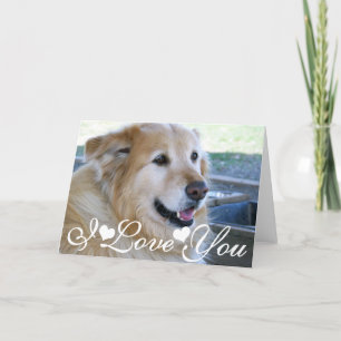 Golden Retriever Photo Image I Love You Card