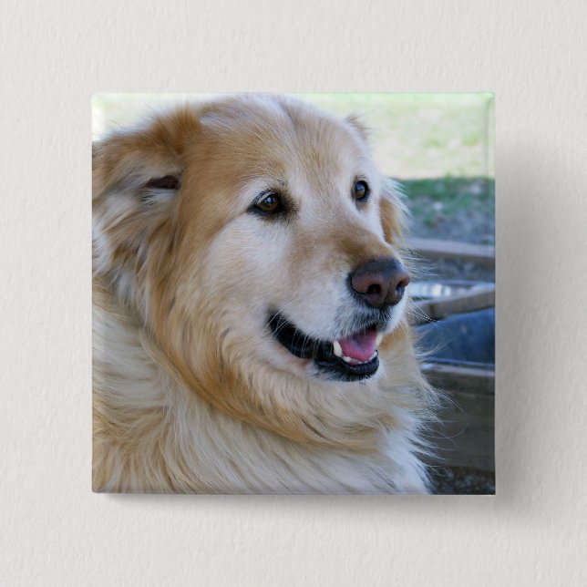 Golden Retriever Photo Pinback Button (Front)