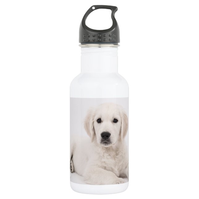 Golden Retriever Photo Stainless Steel Water Bottle (Front)