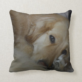 Golden retriever pillow