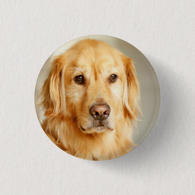 Golden Retriever Portrait Button (Front)