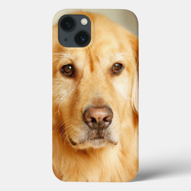 Golden Retriever Portrait Case-Mate iPhone Case (Back)