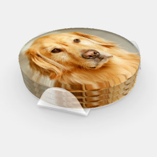 Golden Retriever Portrait Coaster Set