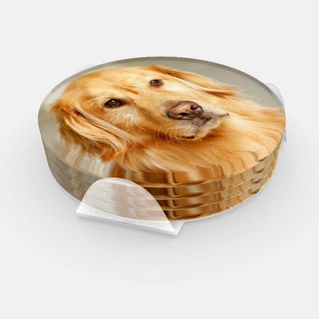 Golden Retriever Portrait Coaster Set (Set)