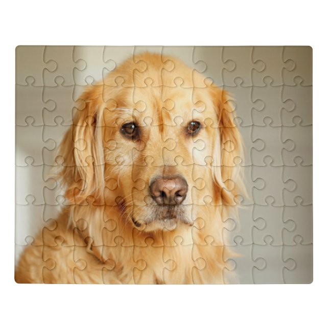 Golden Retriever Portrait Jigsaw Puzzle (Puzzle Horizontal)