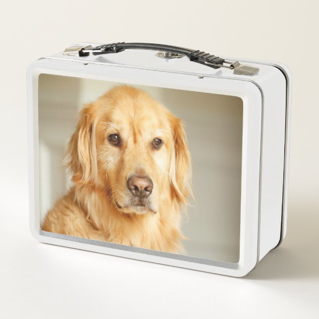 Golden Retriever Portrait Metal Lunch Box (Back)