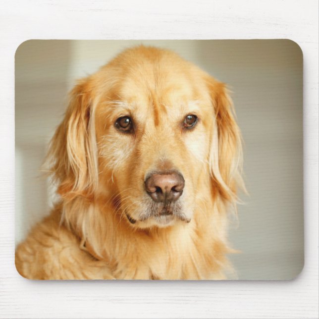 Golden Retriever Portrait Mouse Pad (Front)