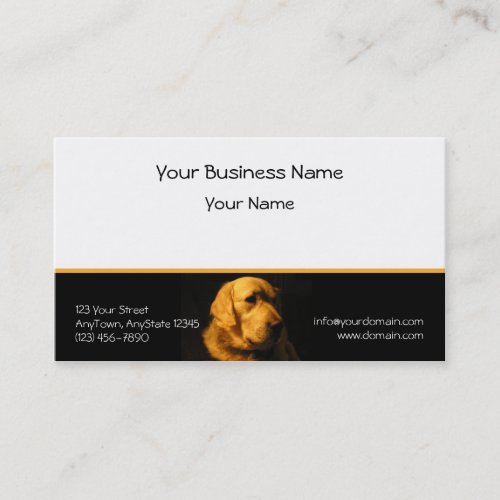 Golden Retriever Portrait on Black with Gold Business Card Template