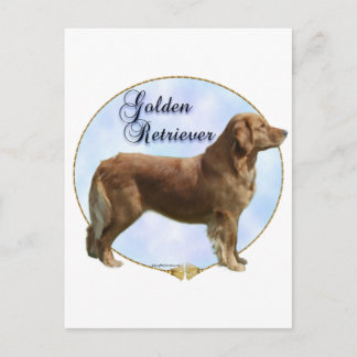 Golden Retriever Portrait Postcard