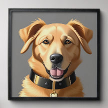 Golden Retriever Portrait Wearing Black Collar