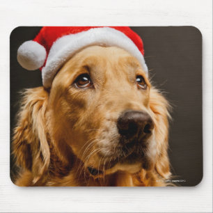 Golden Retriever posing for his Christmas Mouse Pad