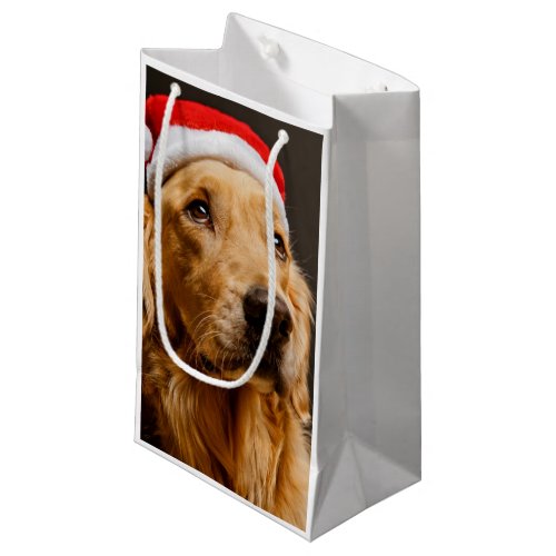 Golden Retriever posing for his Christmas Small Gift Bag