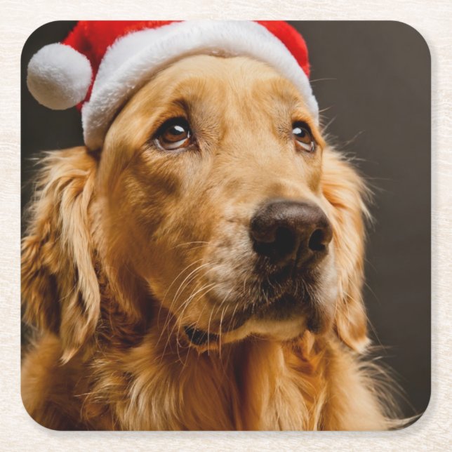 Golden Retriever posing for his Christmas Square Paper Coaster (Front)