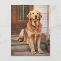 Golden Retriever