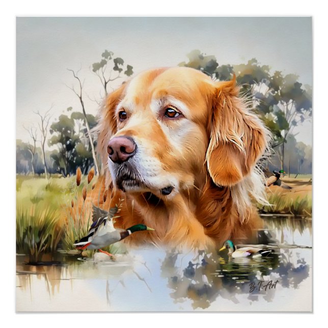 Golden Retriever Poster (Front)