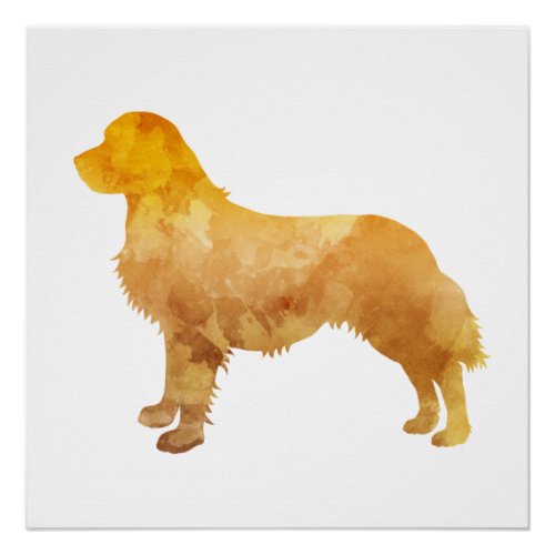 Golden Retriever Poster