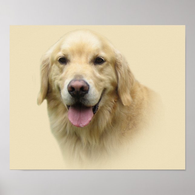 Golden Retriever Print (Front)