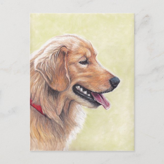 Golden Retriever Profile Dog Art Postcard (Front)