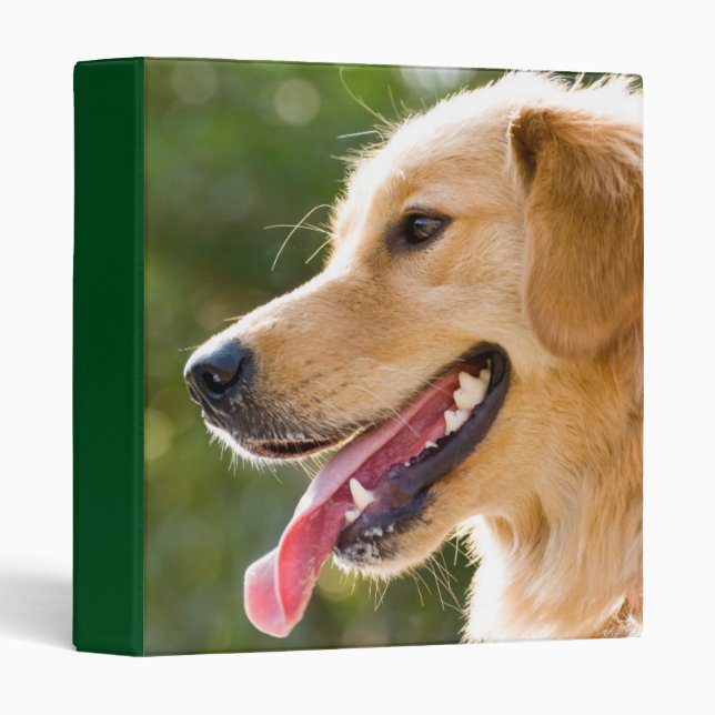 Golden Retriever Profile With Tongue Out 3 Ring Binder (Front/Spine)