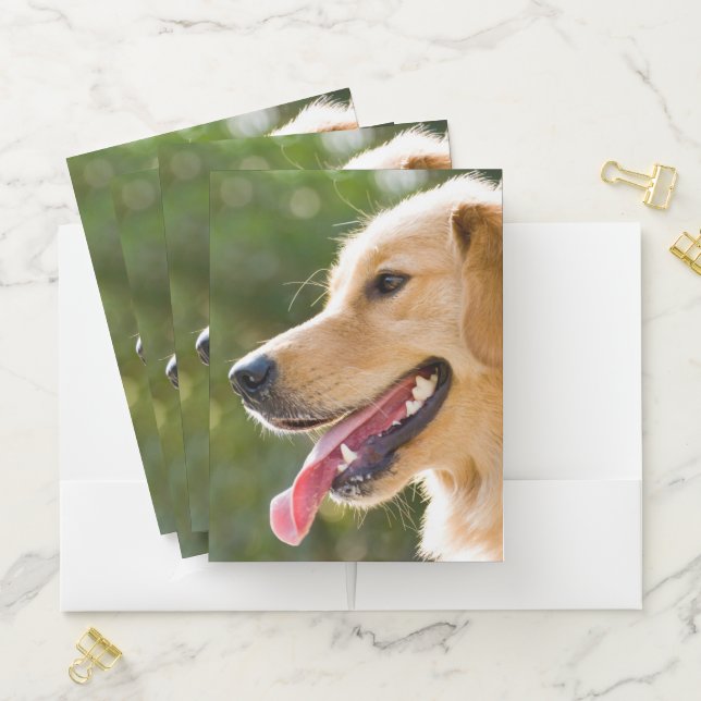 Golden Retriever Profile With Tongue Out Pocket Folder (In Situ)