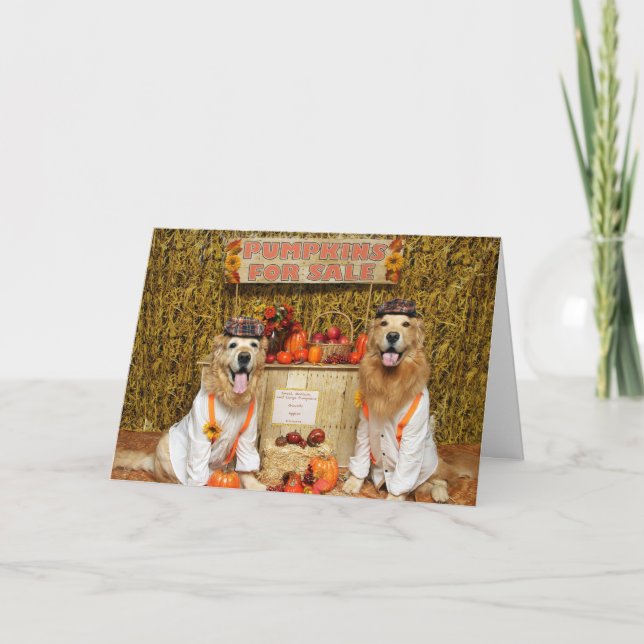 Golden Retriever Pumpkin Stand Halloween Card (Front)