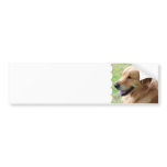 Golden Retriever Pup Bumper Stickers