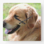 Golden Retriever Pup Clock
