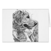 Golden Retriever Pup Drawing (Front Horizontal)
