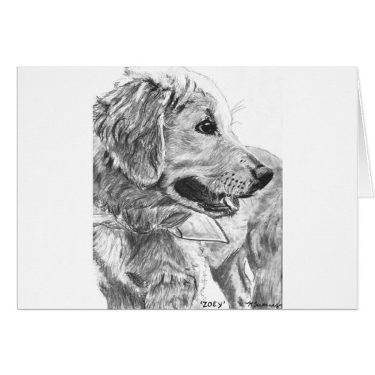 Golden Retriever Pup Drawing (Front Horizontal)
