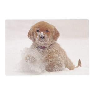 Golden Retriever Pup in Snow Placemat