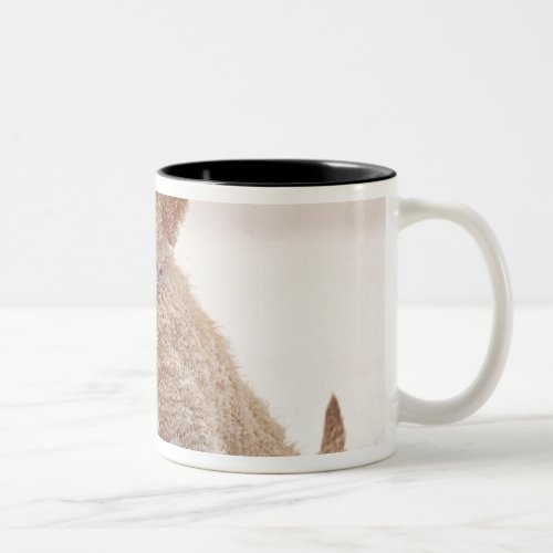 Golden Retriever Pup in Snow Two_Tone Coffee Mug