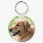 Golden Retriever Pup Keychain