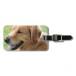 Golden Retriever Pup Luggage Tag