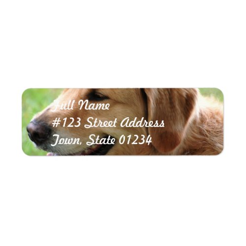 Golden Retriever Pup Mailing Labels