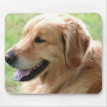 Golden Retriever Pup Mouse Pad