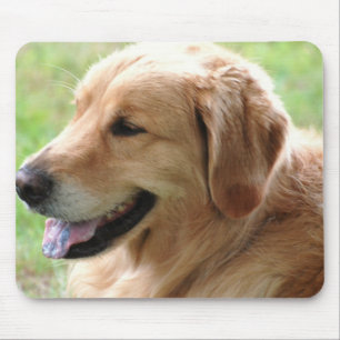 Golden Retriever Pup Mouse Pad